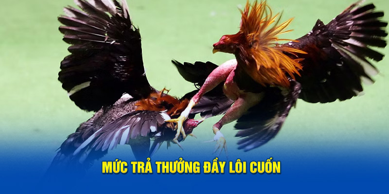 Mức trả thưởng đầy lôi cuốn